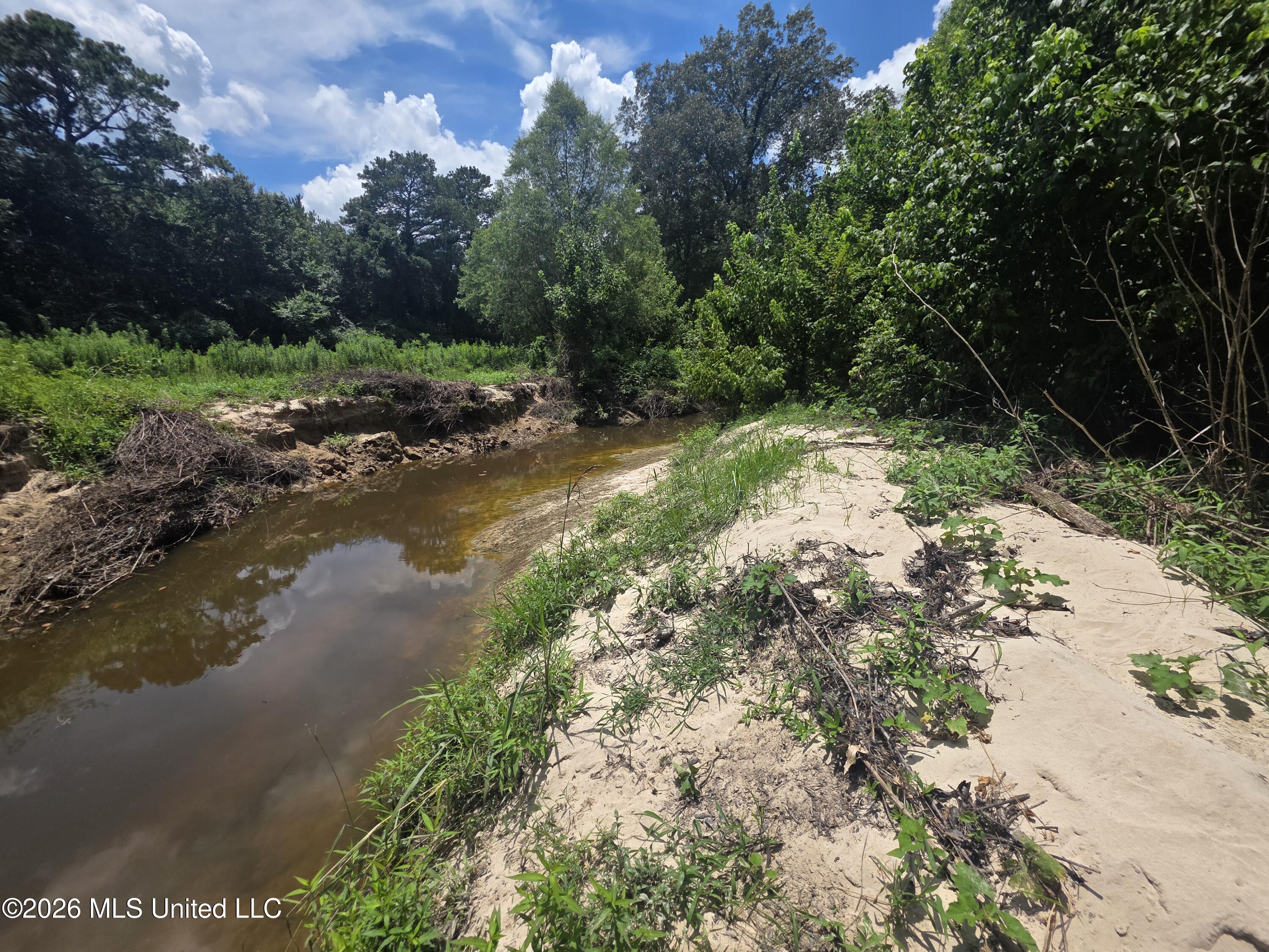 538 East Scrd Morton, MS 39117 - Photo 1 of 30 37186