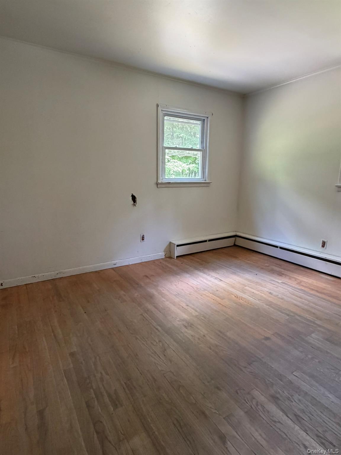 5 Steges Road Eldred, NY 12732 - Photo 12 of 19