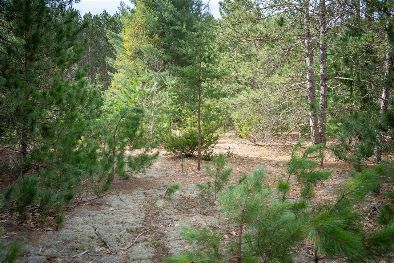 V/l Hudson Road South Boardman, MI 49680 - Photo 31 of 34