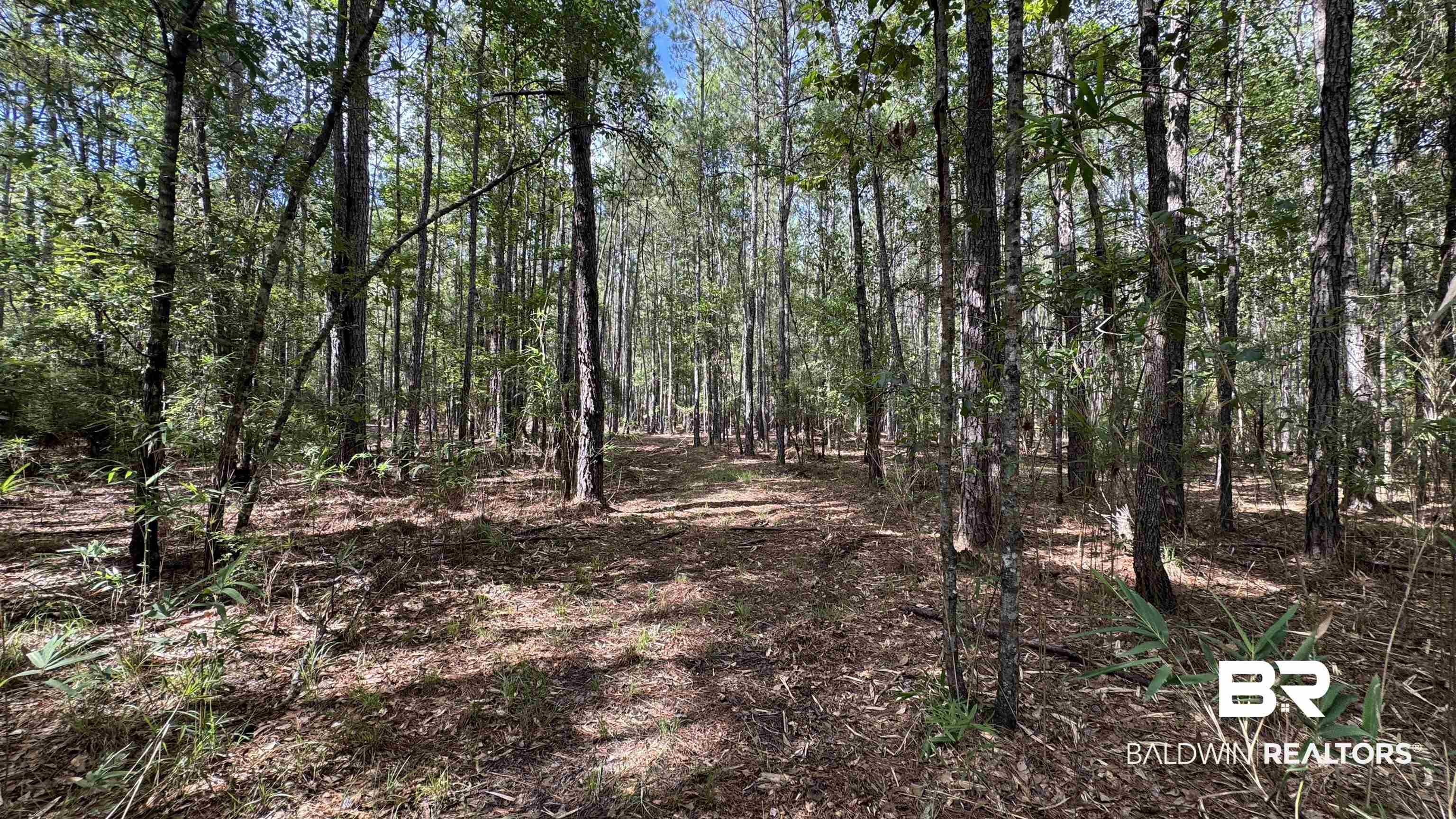 66409 James Road Stockton, AL 36579 - Photo 16 of 35