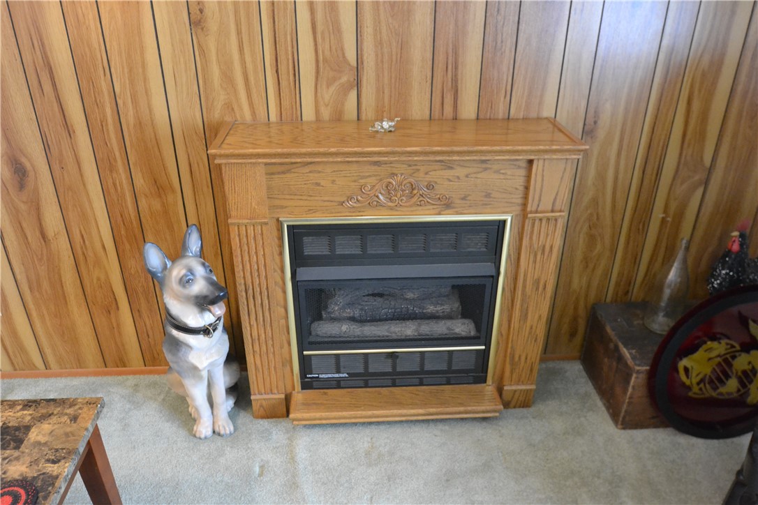 2328 Timberline Drive Macedon, NY 14502 - Photo 8 of 28 Gas fireplace