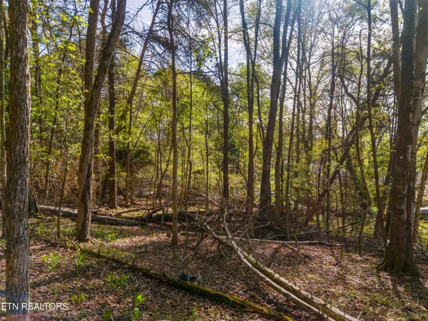 $34,900 | Lot 13 Back Nine Drive, Baneberry, TN 37890
