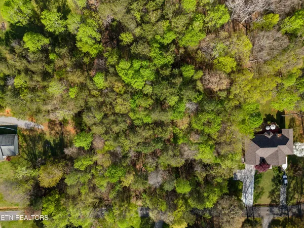 $34,900 | Lot 13 Back Nine Drive, Baneberry, TN 37890