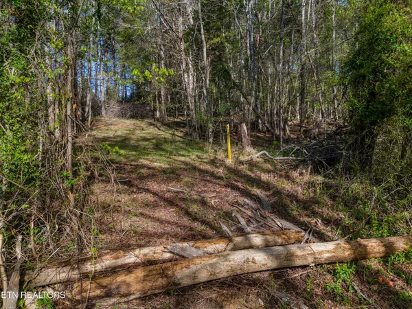 $34,900 | Lot 13 Back Nine Drive, Baneberry, TN 37890