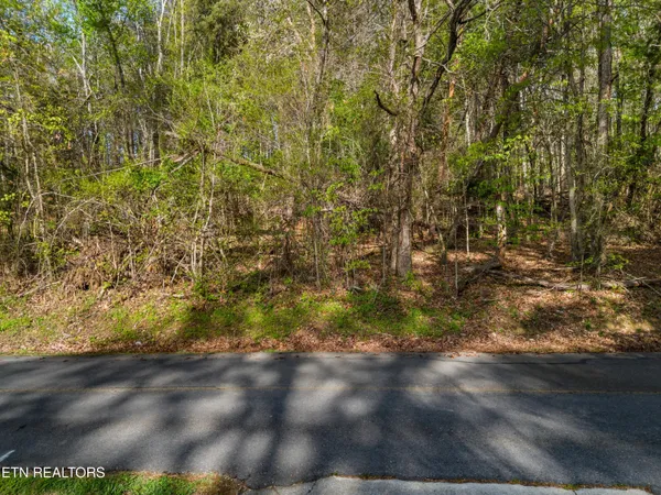 $34,900 | Lot 13 Back Nine Drive, Baneberry, TN 37890