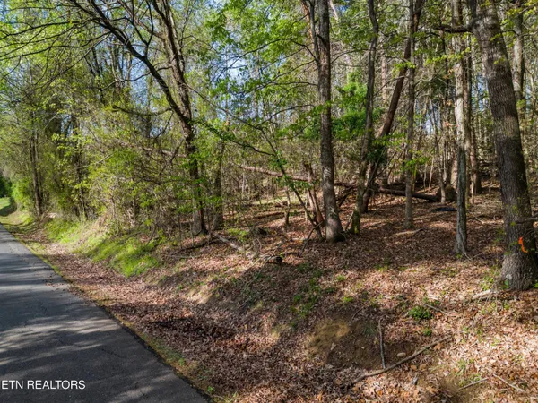 $34,900 | Lot 13 Back Nine Drive, Baneberry, TN 37890