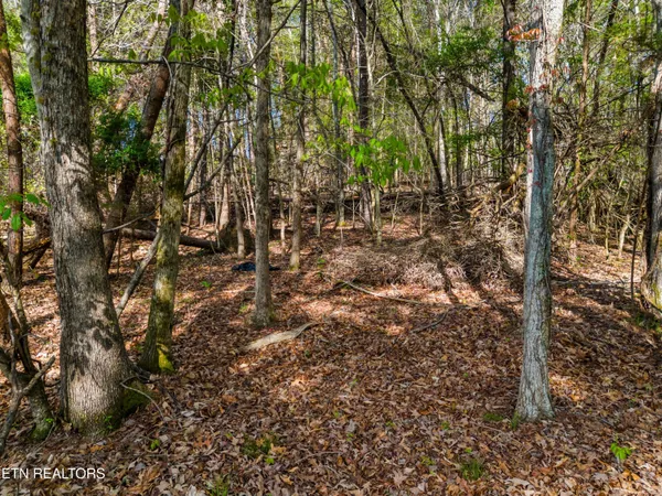 $34,900 | Lot 13 Back Nine Drive, Baneberry, TN 37890