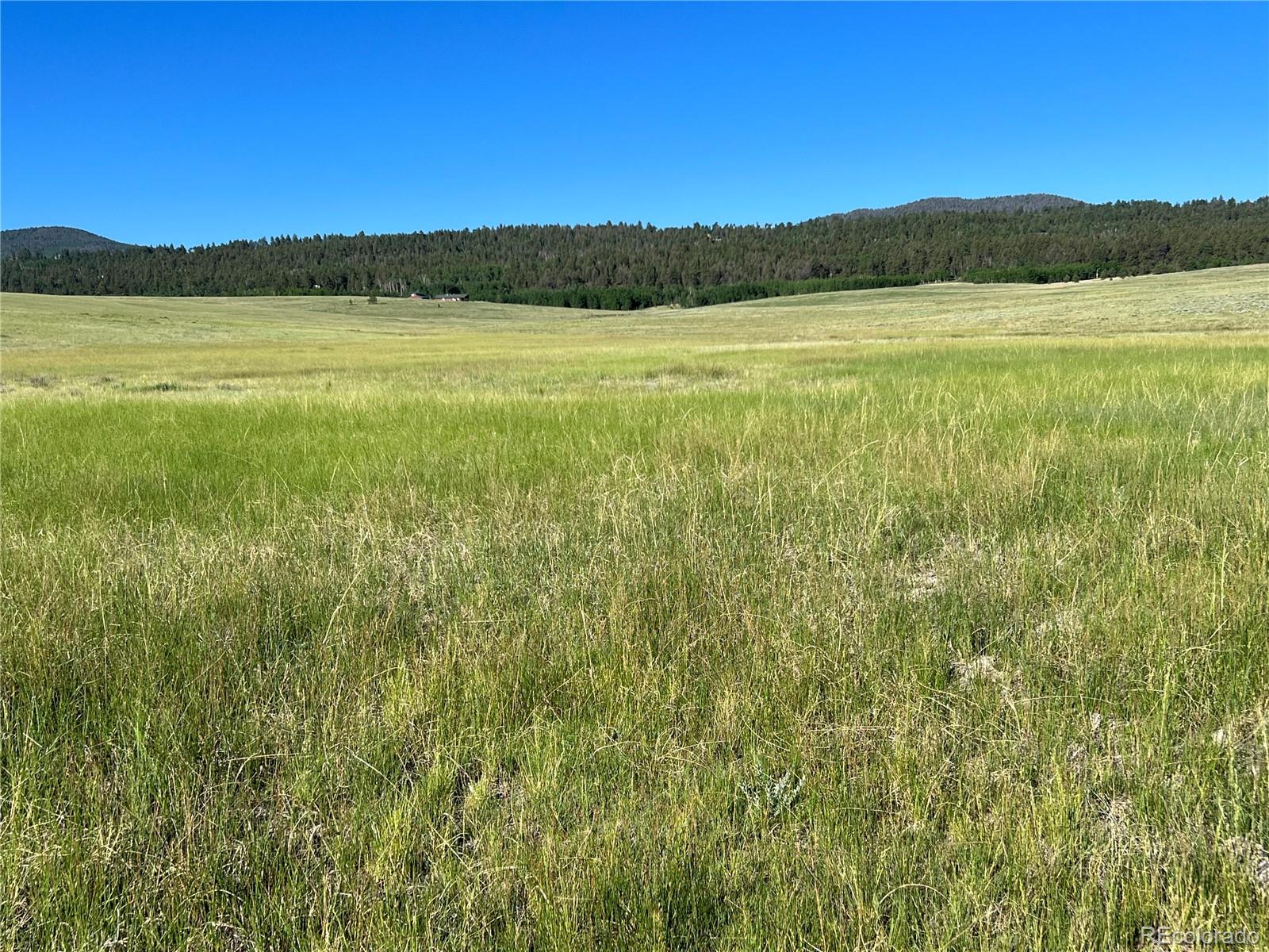 3255 Ranch Road Hartsel, CO 80449 - Photo 18 of 22 a view of an lake and a mountain