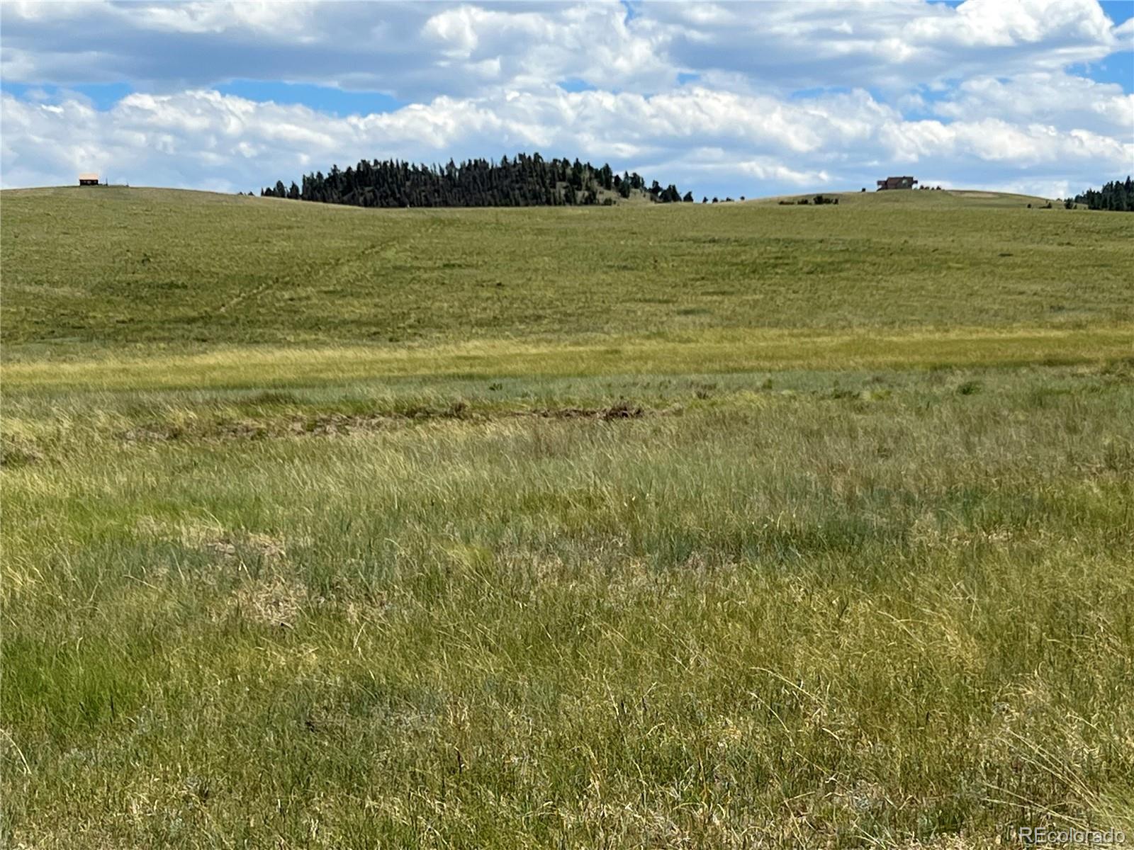 3255 Ranch Road Hartsel, CO 80449 - Photo 7 of 22 a view of an ocean
