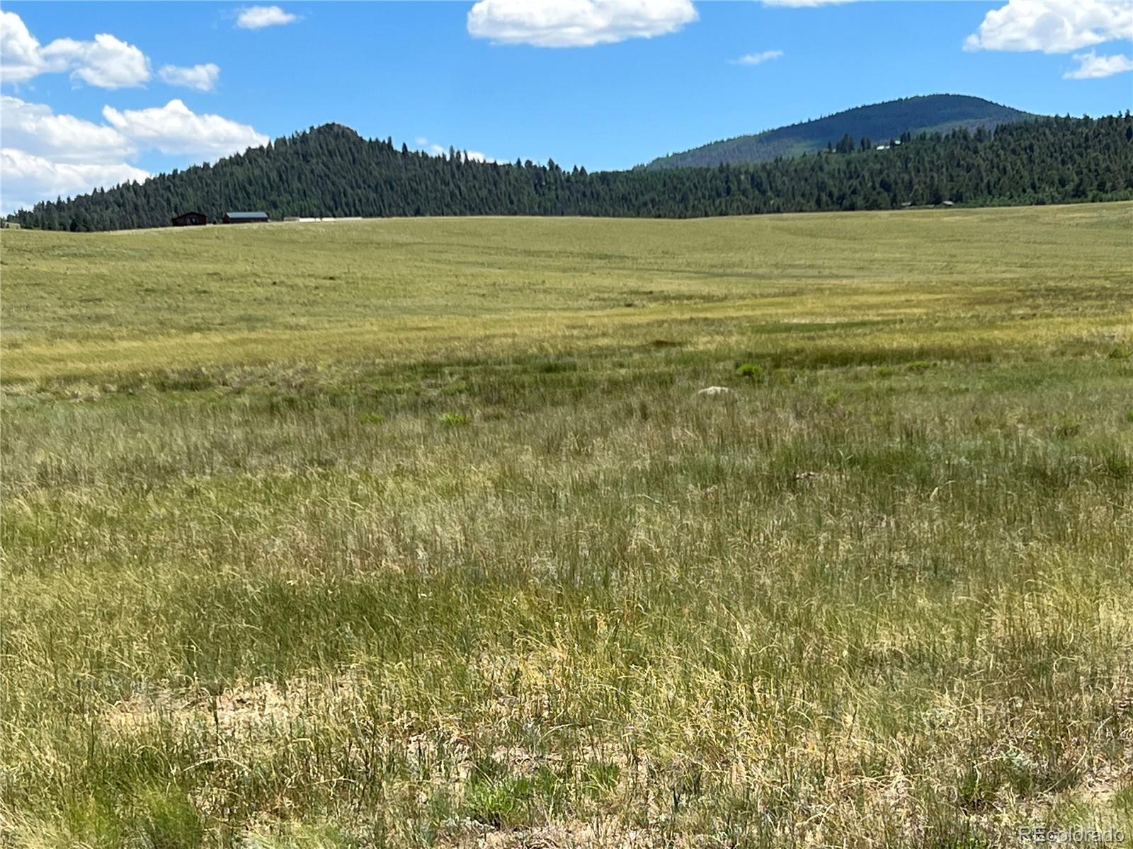 3255 Ranch Road Hartsel, CO 80449 - Photo 8 of 22 a view of ocean view