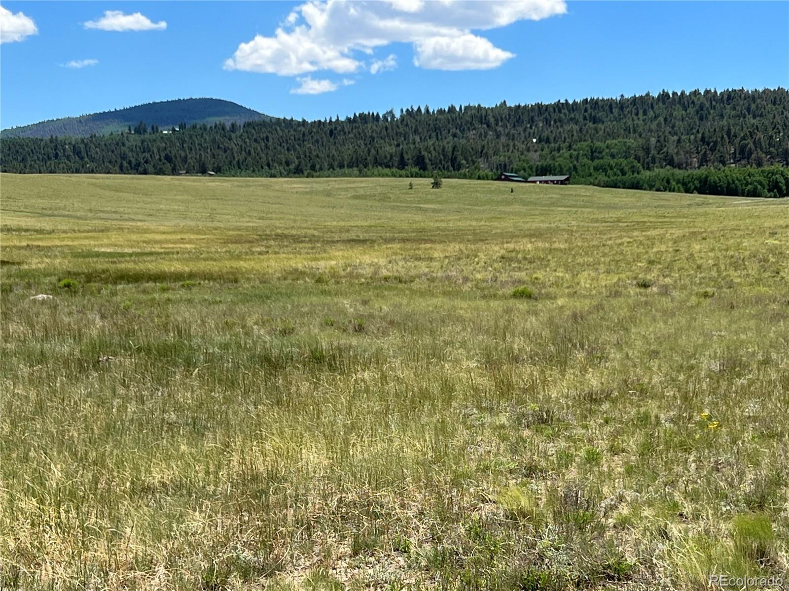 3255 Ranch Road Hartsel, CO 80449 - Photo 9 of 22 a view of lake with mountain view