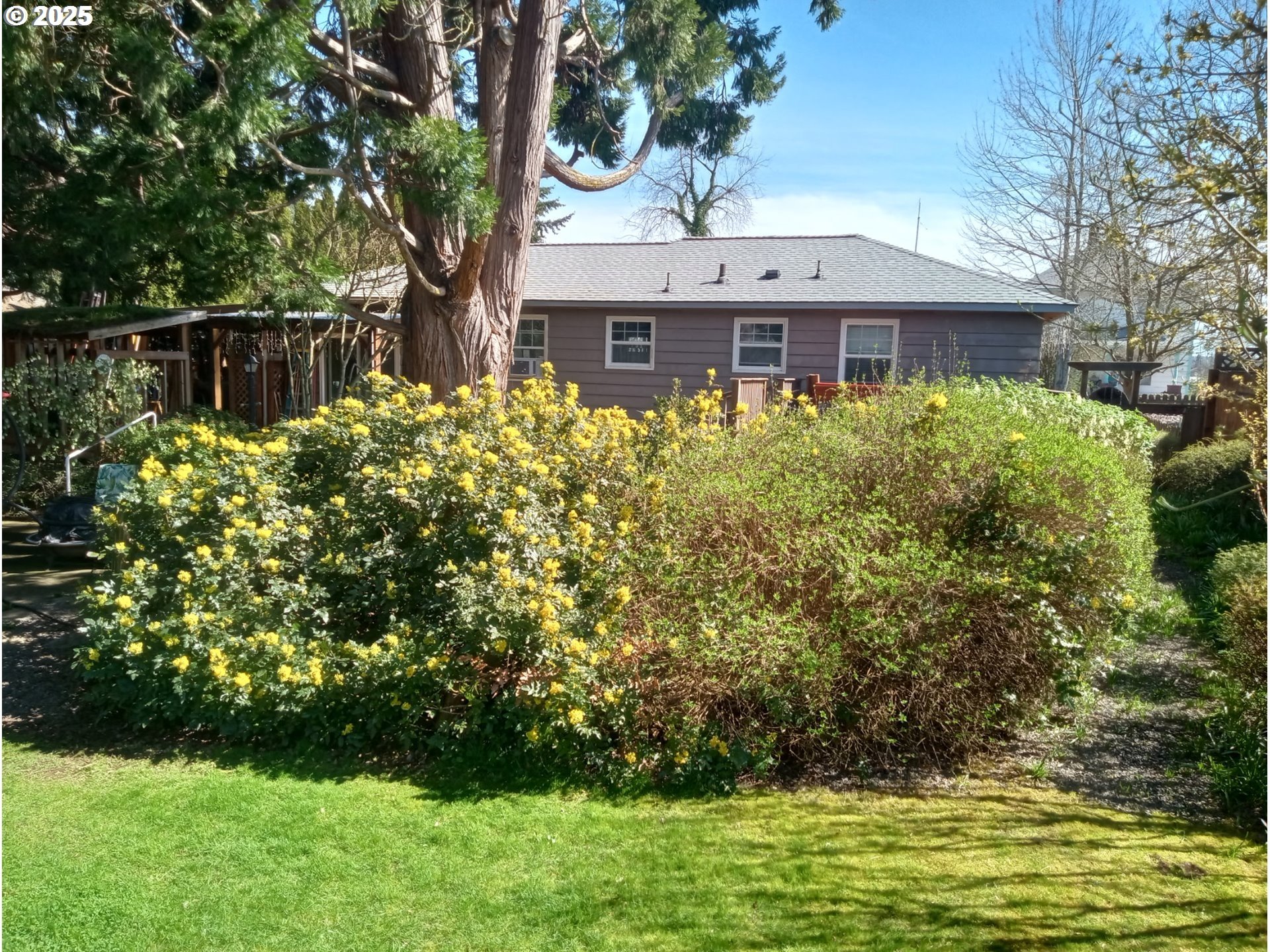 575 North Locust Street Canby, OR 97013 - Photo 2 of 45