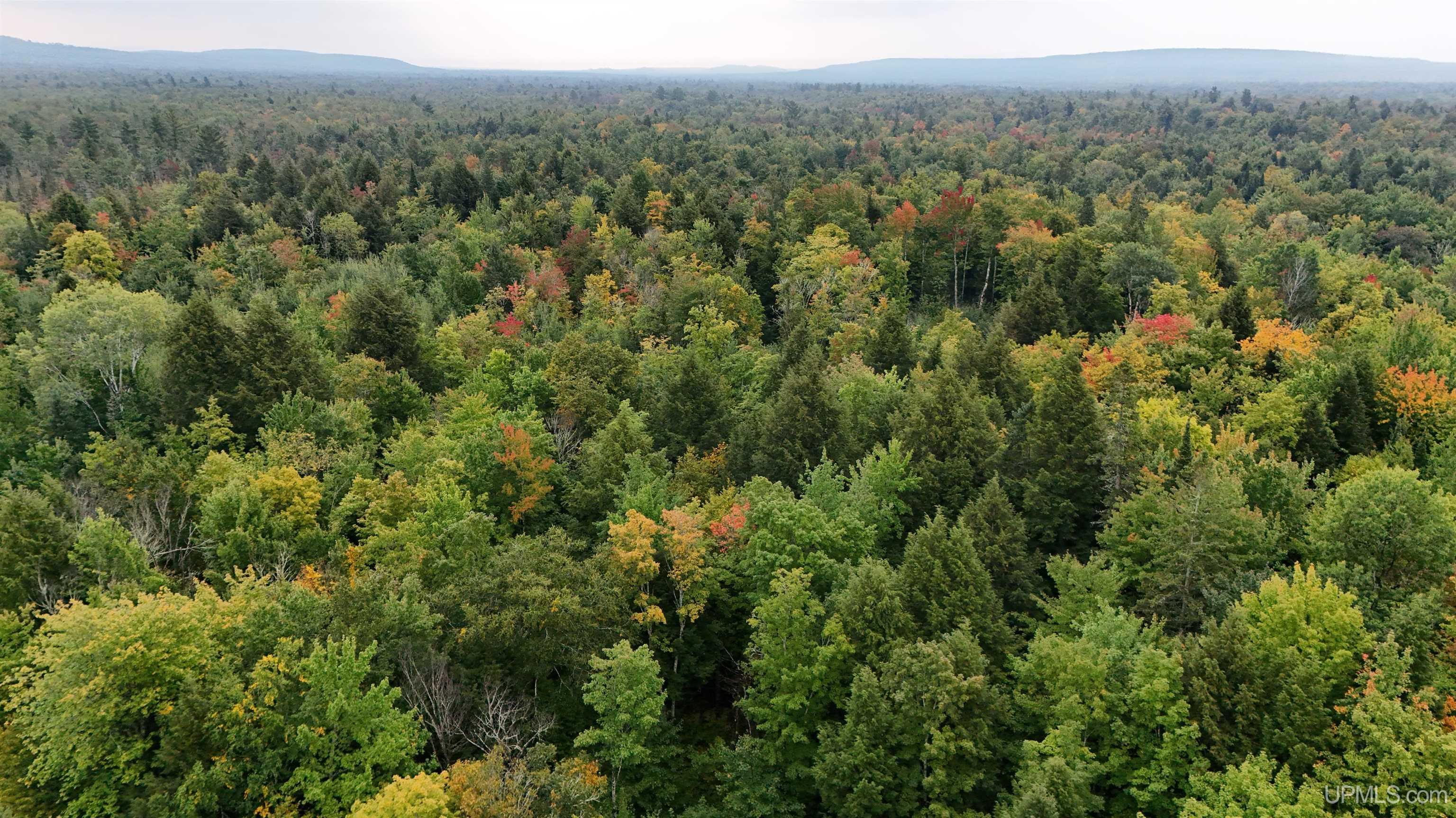 Tbd240 South Firesteel Road Ontonagon, MI 49953 - Photo 3 of 16