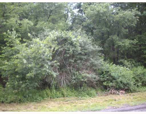 Land/Lot. FRONTAGE OF 135 FEET WITH ALL UTILITIES AVAILABLE. 