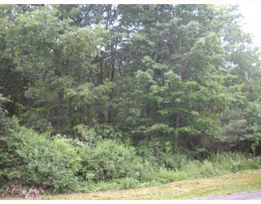 144 Mary Reed Road Economy, PA 15005 - Photo 3 of 12 Land/Lot. NICE TREED LOT