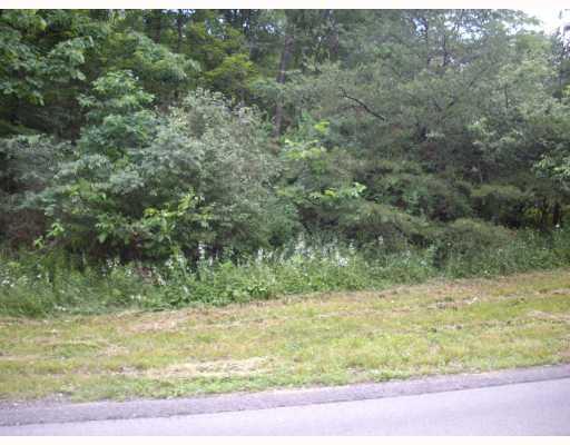 144 Mary Reed Road Economy, PA 15005 - Photo 4 of 12 Land/Lot. CONVENIENT LOCATION.