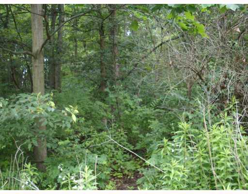144 Mary Reed Road Economy, PA 15005 - Photo 5 of 12 Land/Lot. TALL TREES FOR SHADE.
