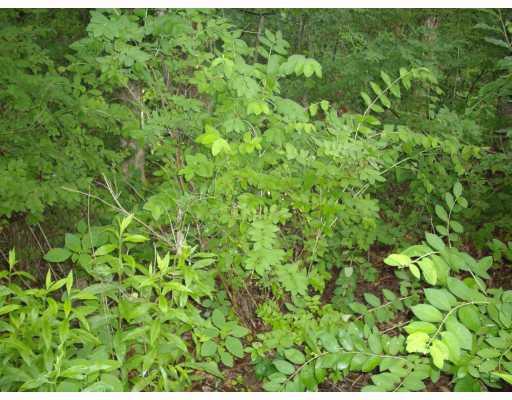 144 Mary Reed Road Economy, PA 15005 - Photo 7 of 12 Land/Lot.