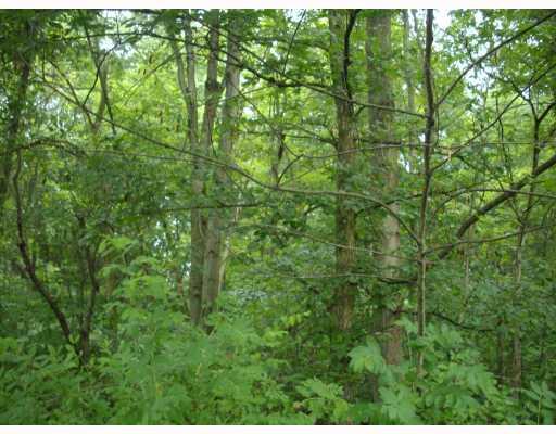 144 Mary Reed Road Economy, PA 15005 - Photo 9 of 12 Land/Lot.