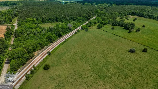 $890,000 | 0 Grab All Hill Road East, Montezuma, GA 31063