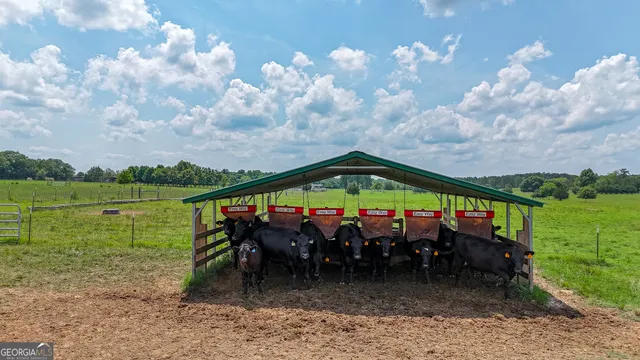 $890,000 | 0 Grab All Hill Road East, Montezuma, GA 31063