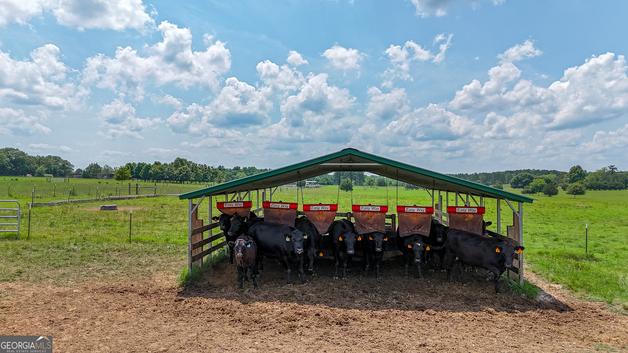 0 Grab All Hill Road East Montezuma, GA 31063 - Photo 10 of 12 an outdoor space with furniture and garden