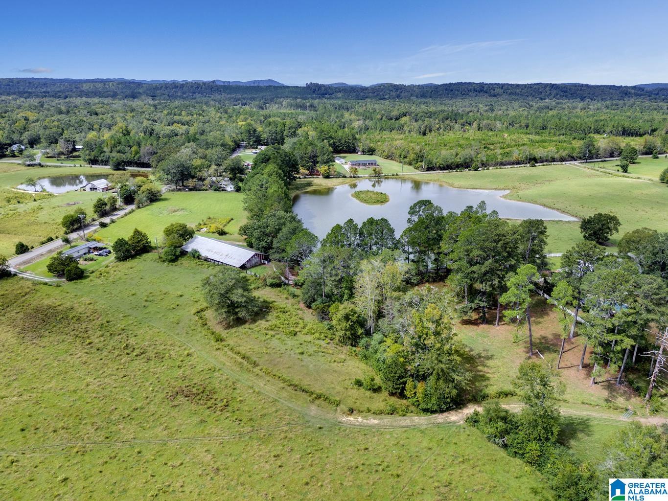 44 Nunnally Lake Road Ohatchee, AL 36271 - Photo 39 of 90