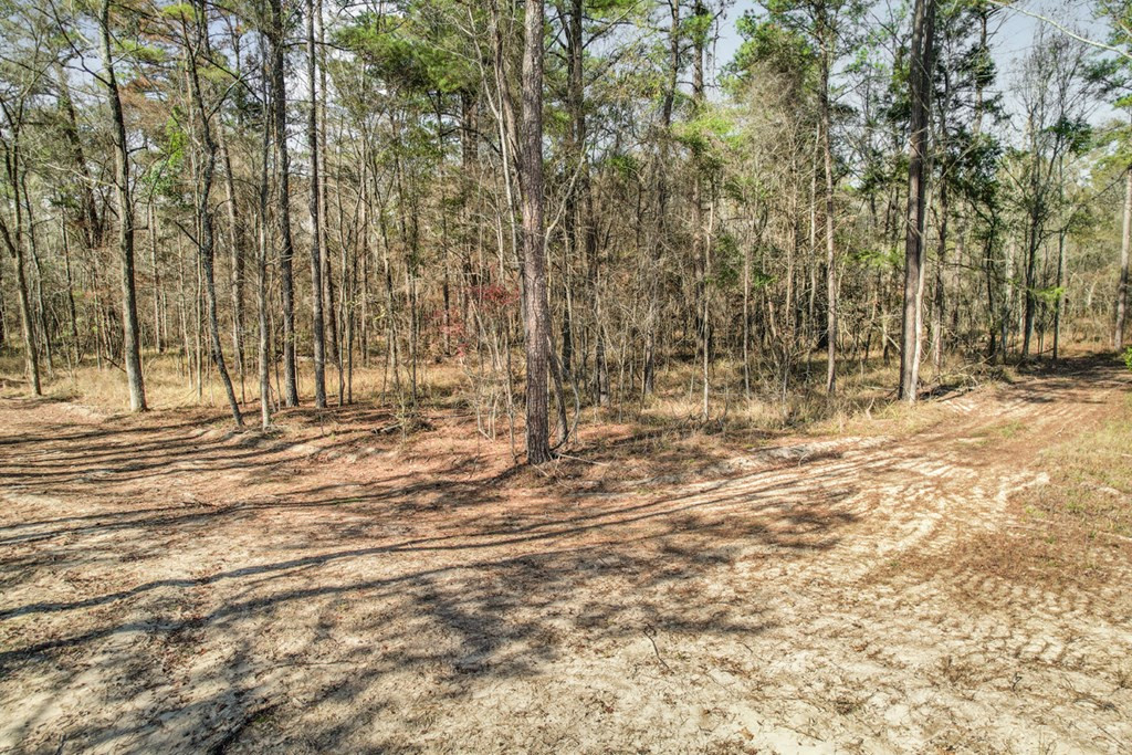 2050 St Paul Road Hazlehurst, MS 39083 - Photo 24 of 36 Photo 24