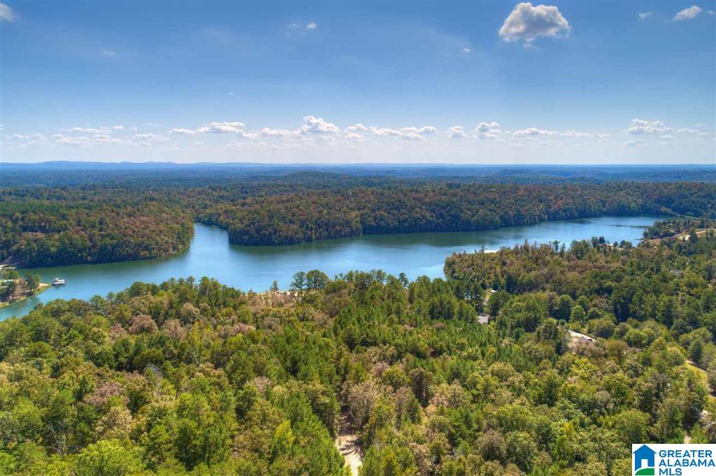 1461 Overlook Point Warrior, AL 35180 - Photo 48 of 49