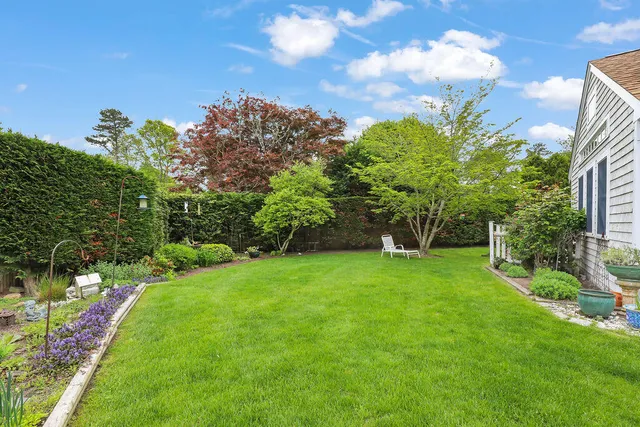 a view of a backyard with table and chairs and potted plants