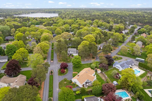 a view of a big yard with plants and a large tree