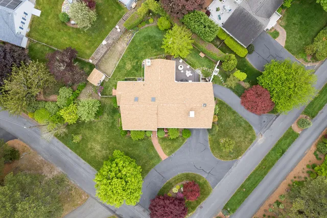 a view of a garden with a tree