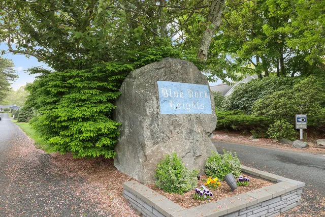 a front view of a house with a yard and covered with trees