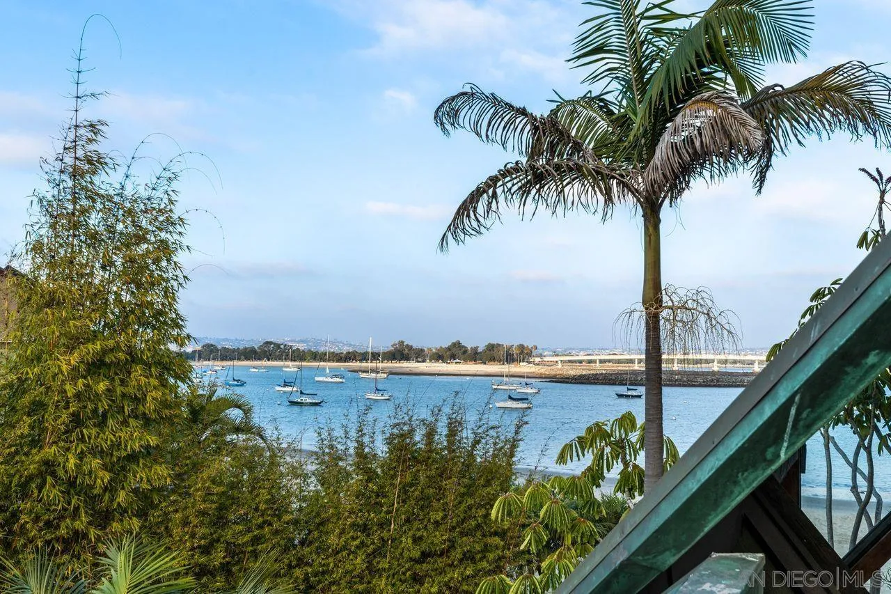 2694 Bayside Walk San Diego, CA 92109 - Photo 32 of 37 a view of a lake with a palm tree