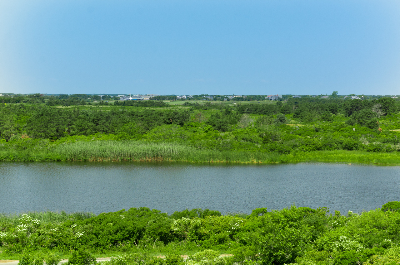 130 Miacomet Road Nantucket, MA 02554 - Photo 5 of 24 Gallery Image 5