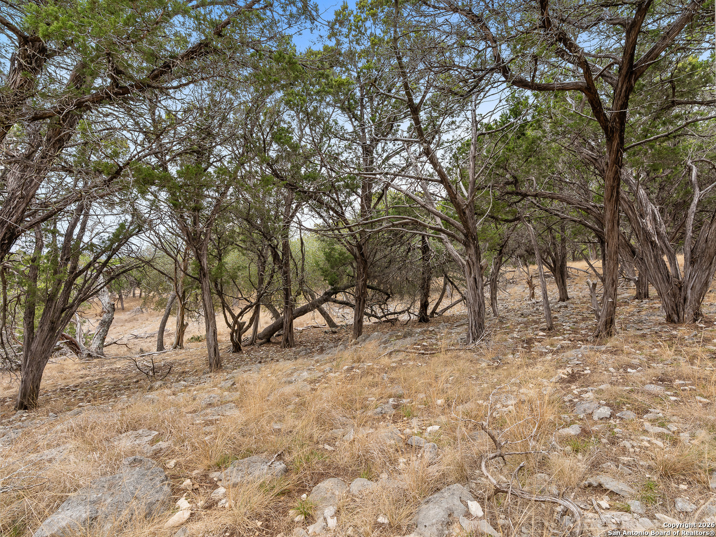 121 River Ranch Road Boerne, TX 78006 - Photo 11 of 22