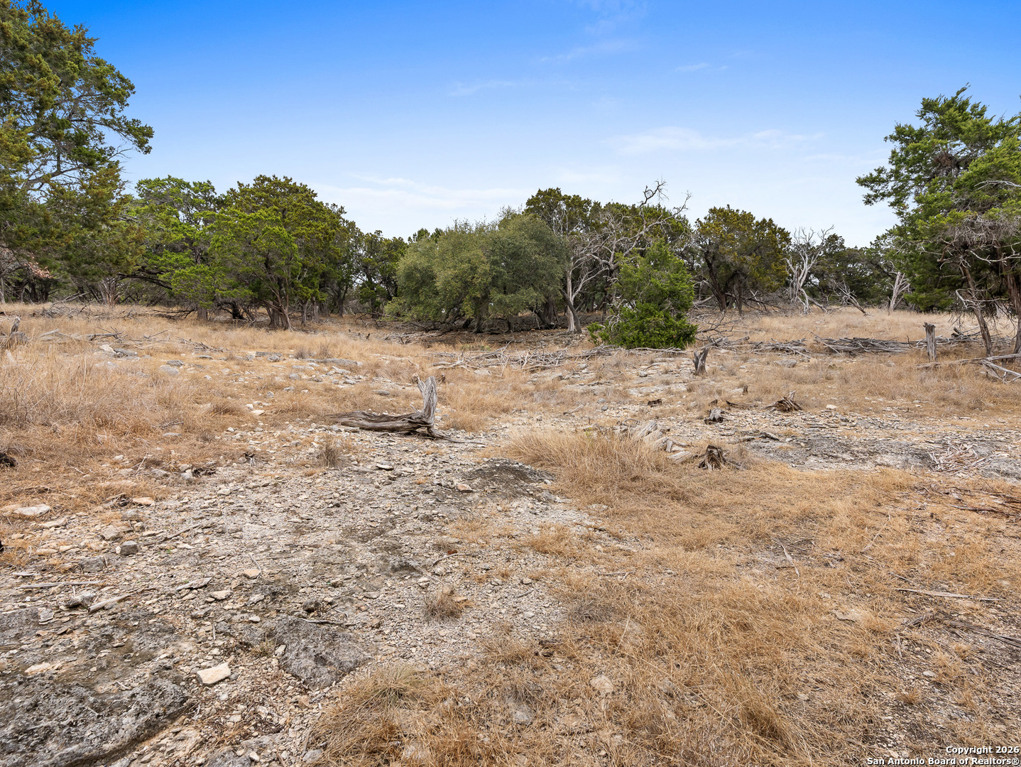 121 River Ranch Road Boerne, TX 78006 - Photo 12 of 22