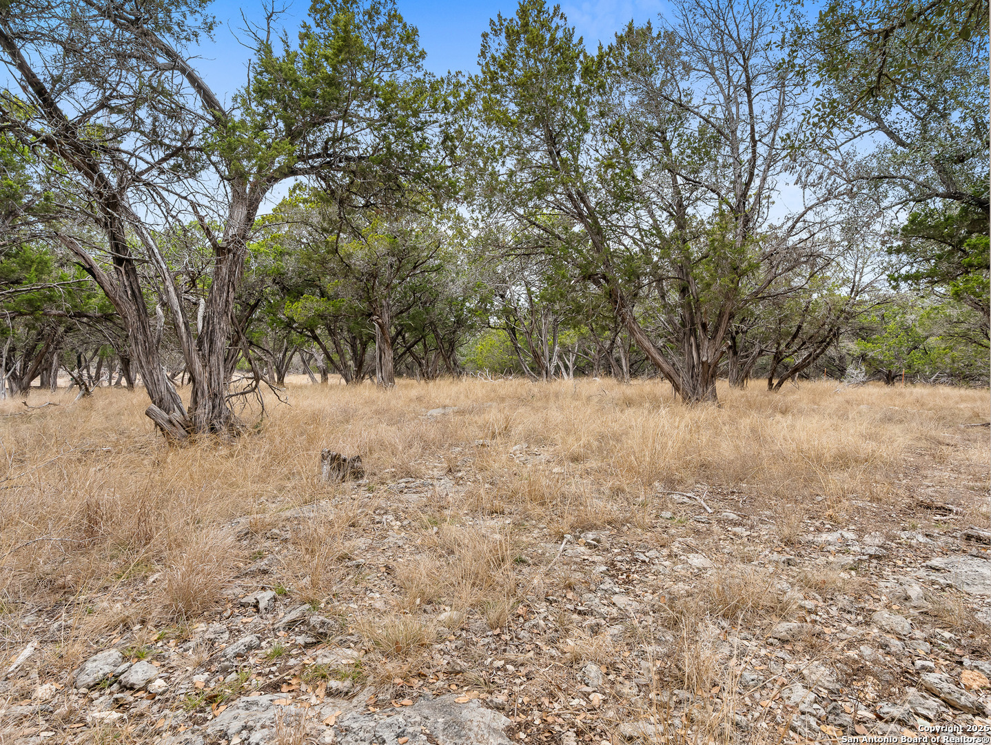 121 River Ranch Road Boerne, TX 78006 - Photo 13 of 22
