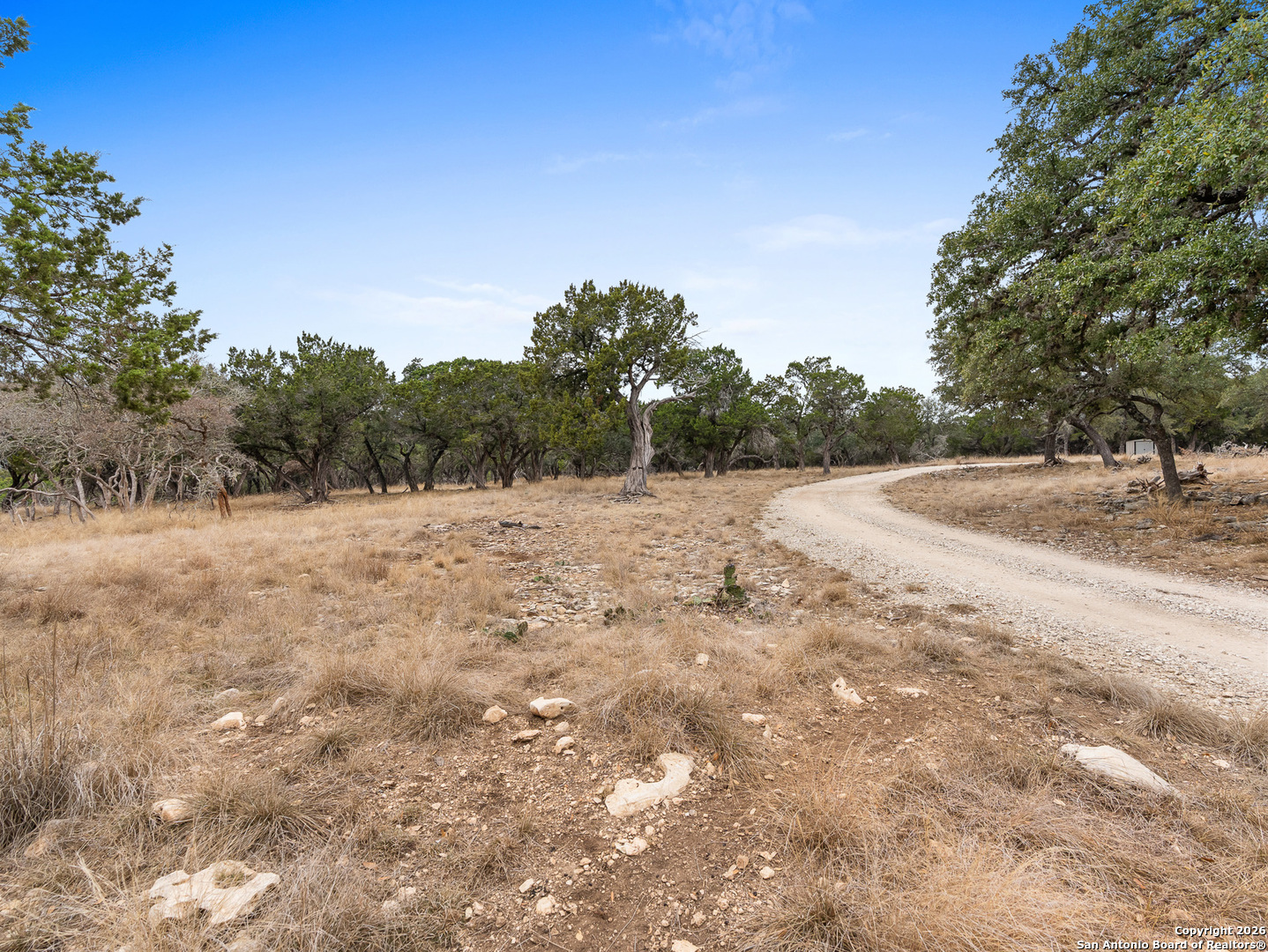 121 River Ranch Road Boerne, TX 78006 - Photo 10 of 22