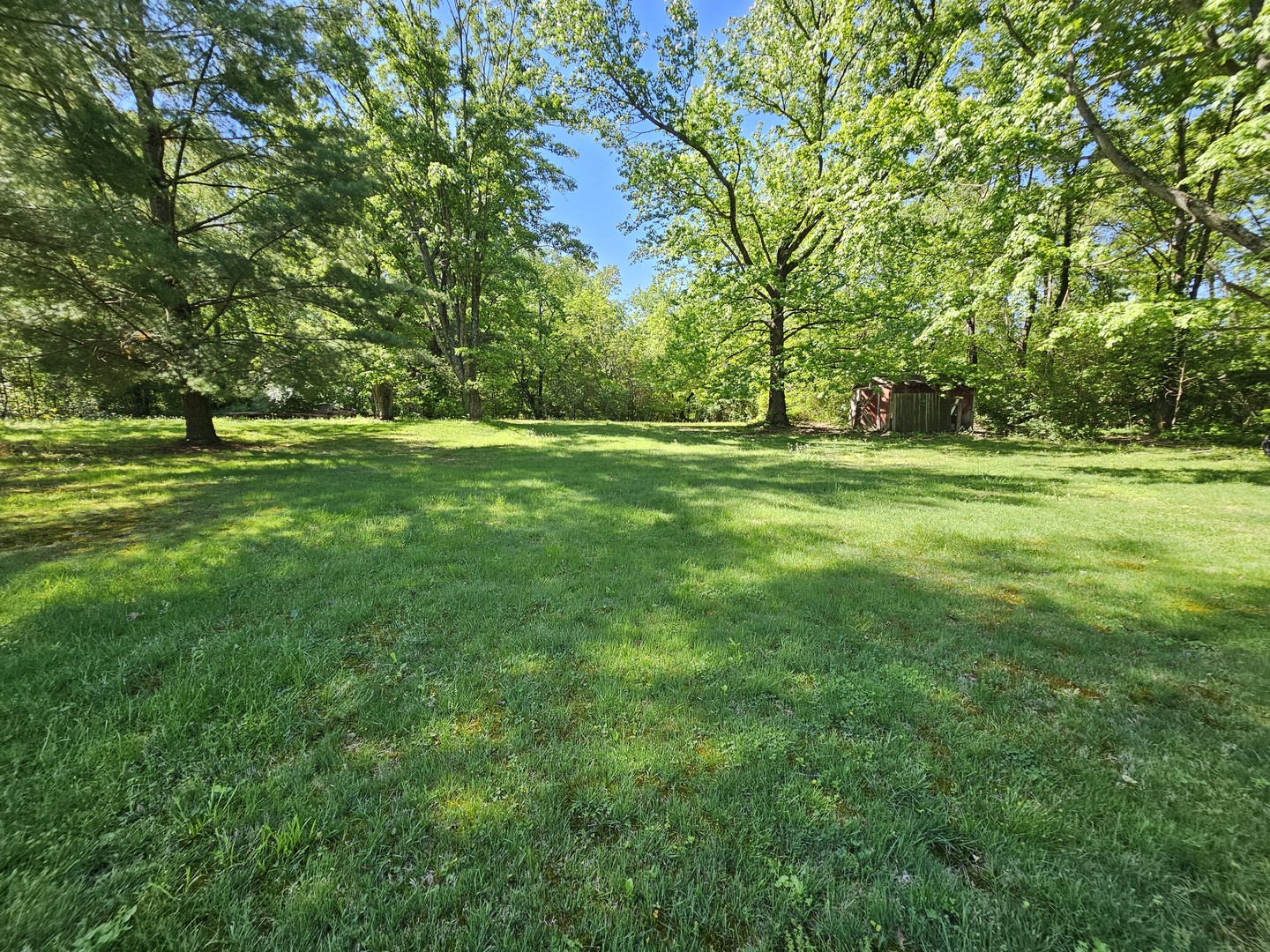 450 West Saddle Club Road Bonnie, IL 62816 - Photo 11 of 25