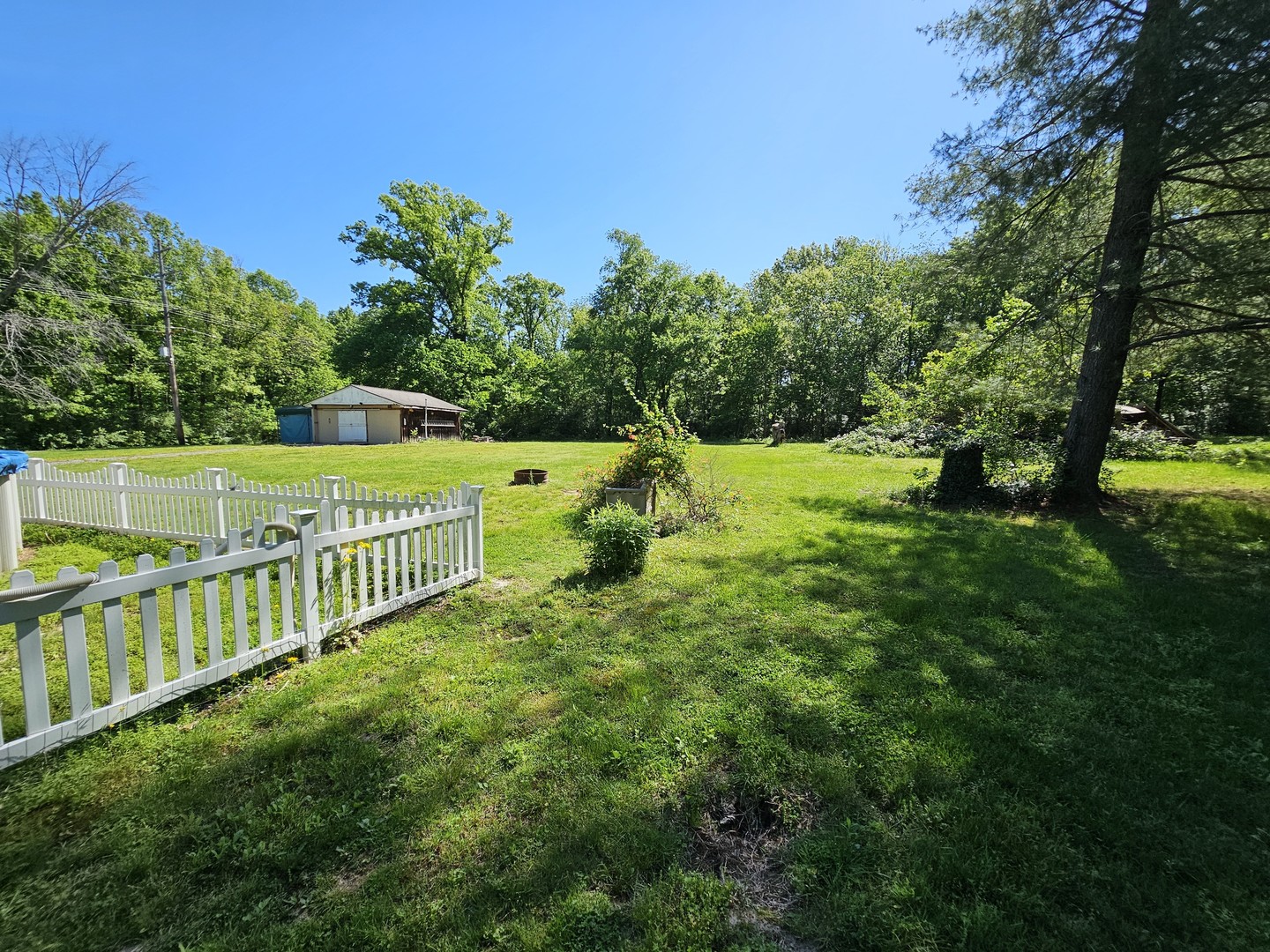 450 West Saddle Club Road Bonnie, IL 62816 - Photo 12 of 25