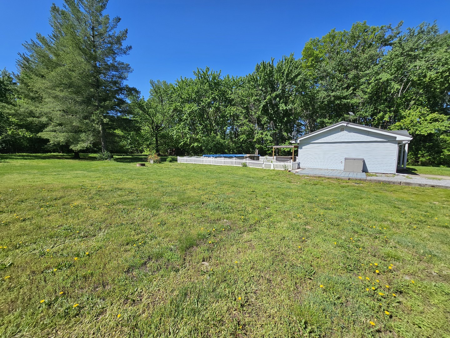 450 West Saddle Club Road Bonnie, IL 62816 - Photo 6 of 25