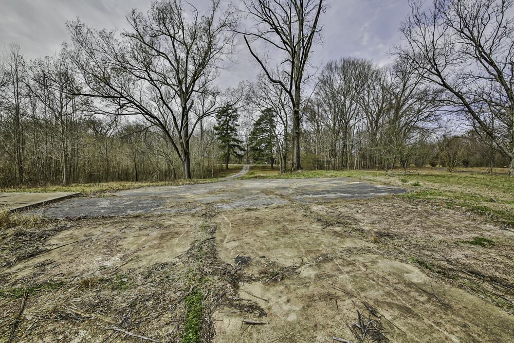 6960 Locke Road Millington, TN 38053 - Photo 11 of 22 Gallery Image 11
