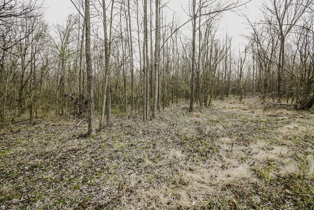 6960 Locke Road Millington, TN 38053 - Photo 15 of 22 Gallery Image 15