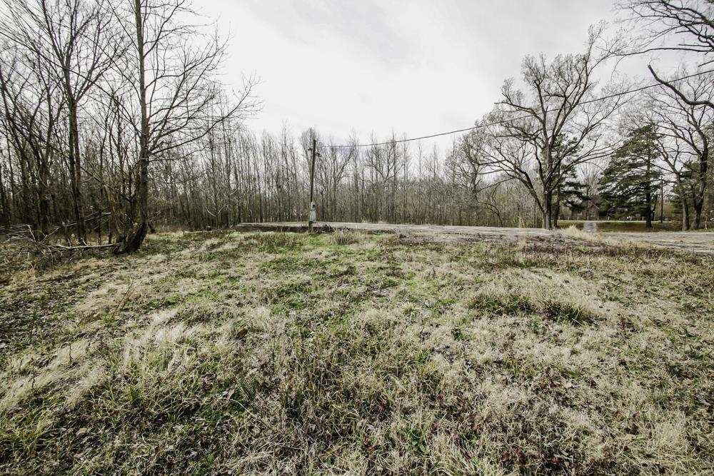 6960 Locke Road Millington, TN 38053 - Photo 17 of 22 Gallery Image 17