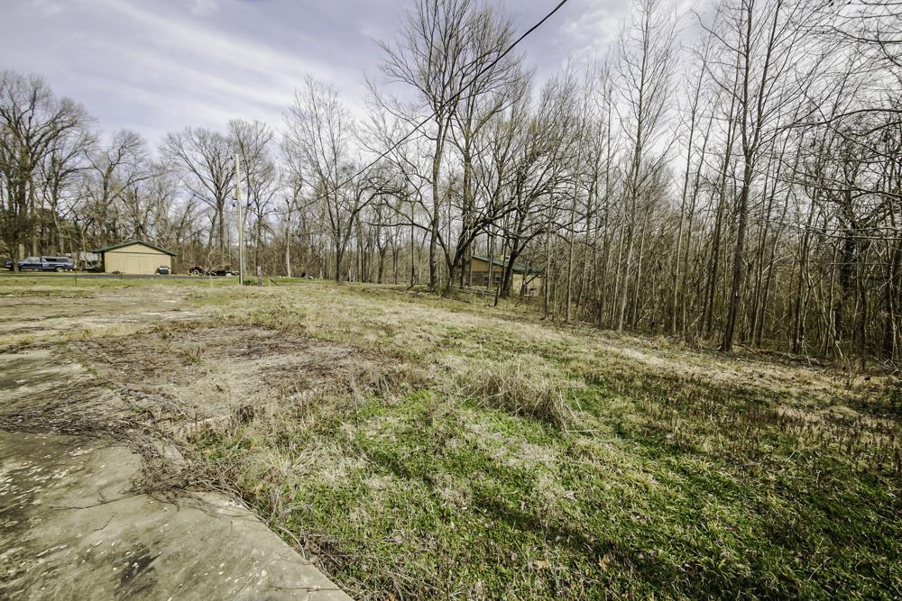 6960 Locke Road Millington, TN 38053 - Photo 19 of 22 Gallery Image 19