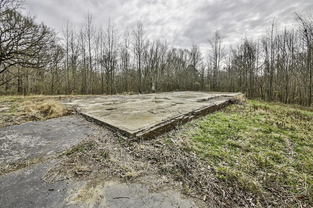 6960 Locke Road Millington, TN 38053 - Photo 9 of 22 Gallery Image 9