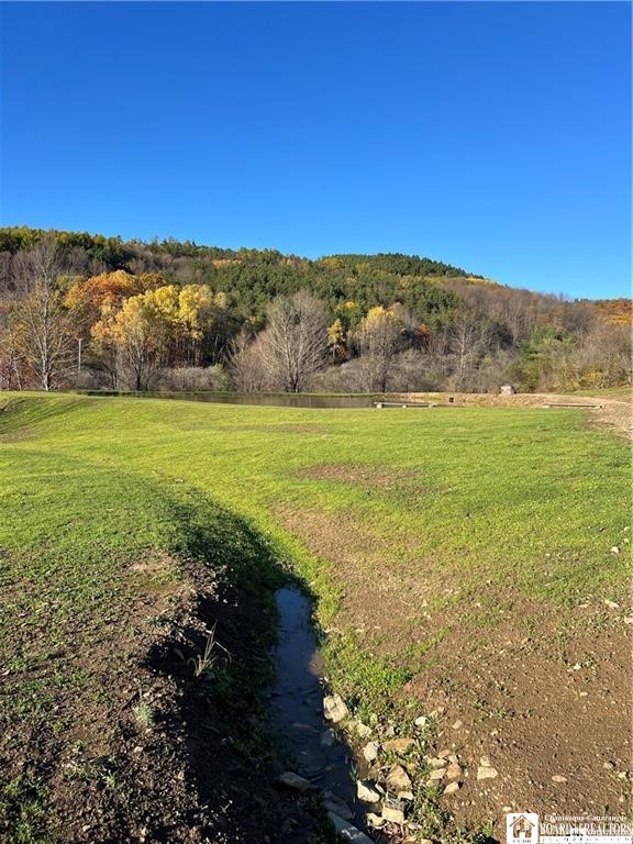 8 Co Road Friendship, NY 14739 - Photo 5 of 25