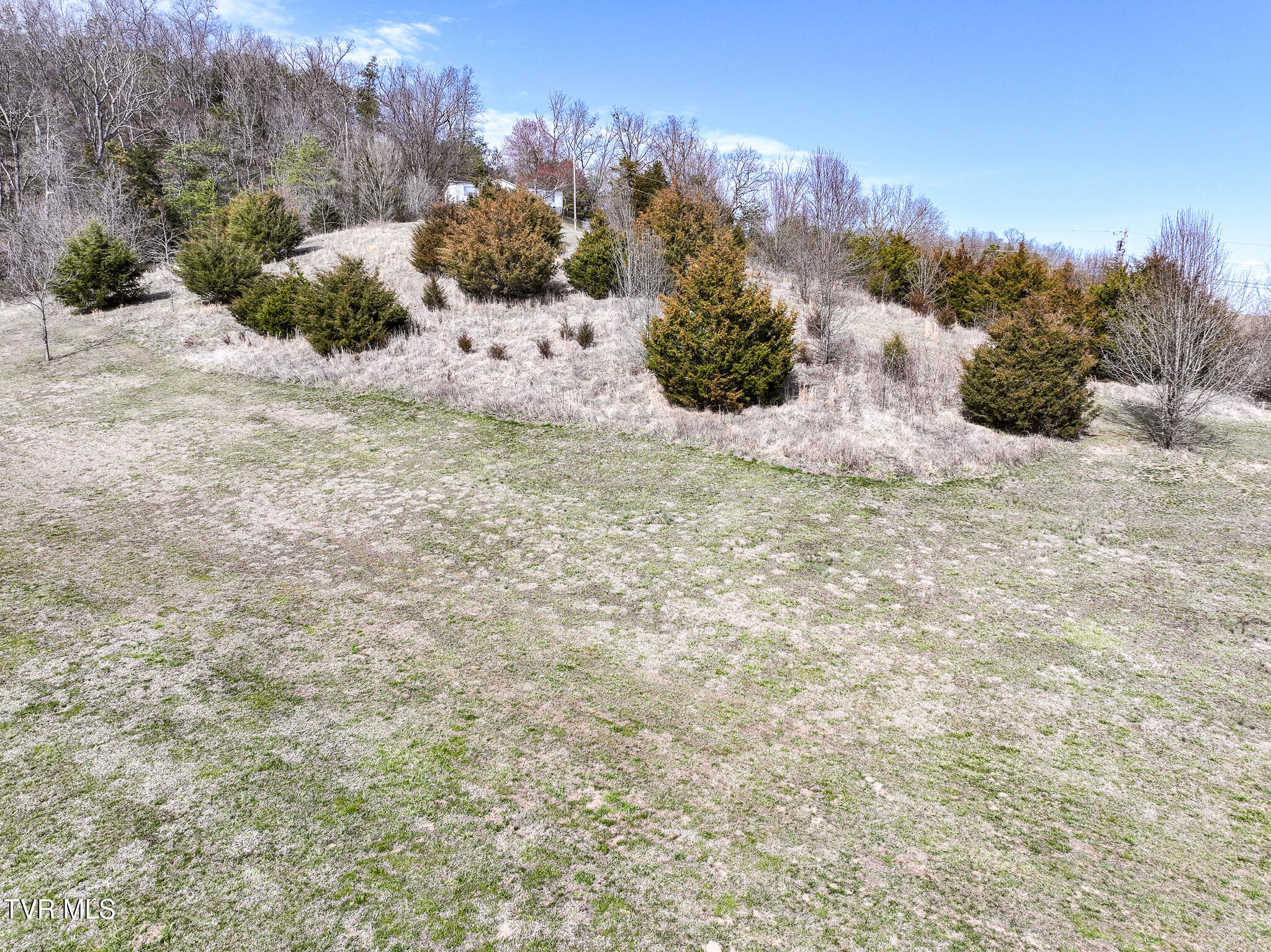 Tbd Dulaney Road, Unit 16 Mosheim, TN 37818 - Photo 6 of 21 DJI_20250304142108_0943_D