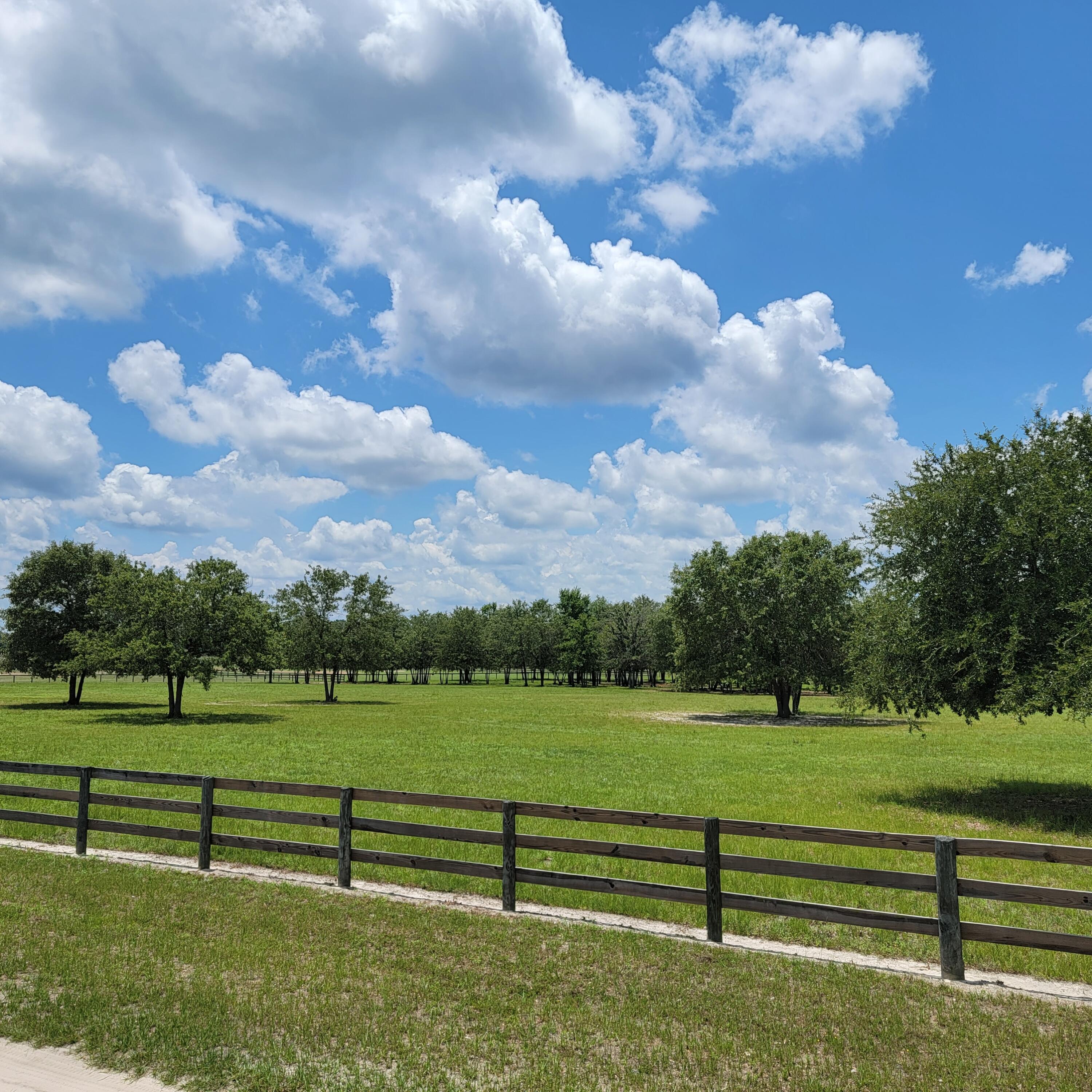 0 Riker Trail Windsor, SC 29856 - Photo 5 of 21